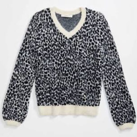 LOFT V-Neck Leopard Sweater NWT - Picture 1 of 4